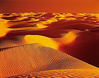 《碧海黑帆》世界背景及实机预告公布 11月8日发售