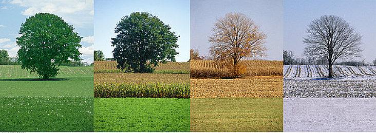 《天国：拯救2》确认有多个结局 主角从男人蜕变成战士